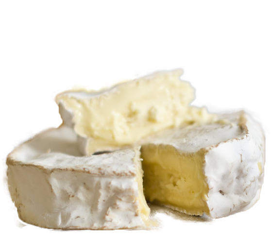 Camembert