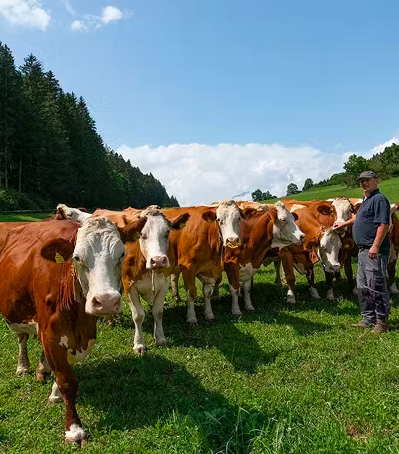 Am Bauernhof